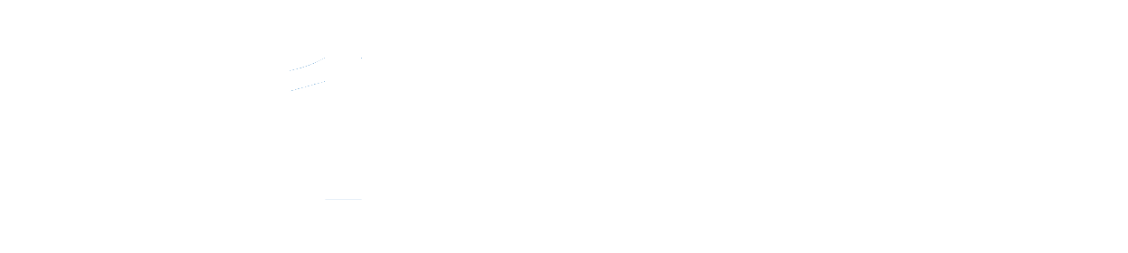 1 Dossier